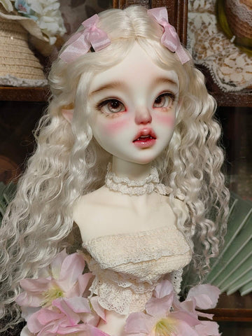 1/4 Female BJD Head- Raggy