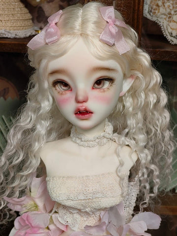 1/4 Female BJD Head- Raggy