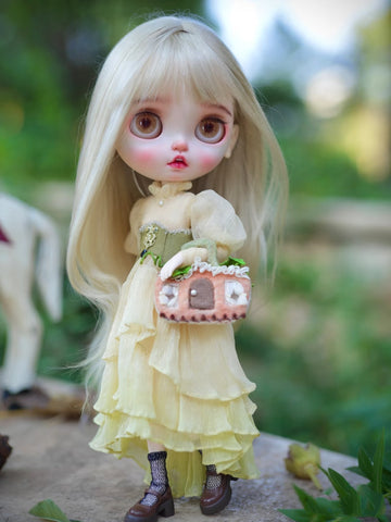 Custom Blythe Doll Collection - No.1