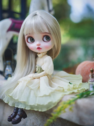 Custom Blythe Doll Collection - No.1