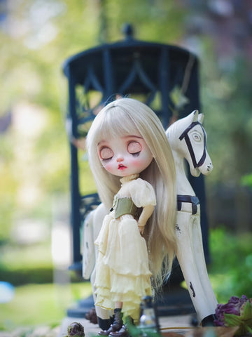 Custom Blythe Doll Collection - No.1