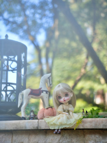 Custom Blythe Doll Collection - No.1