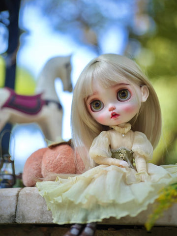 Custom Blythe Doll Collection - No.1