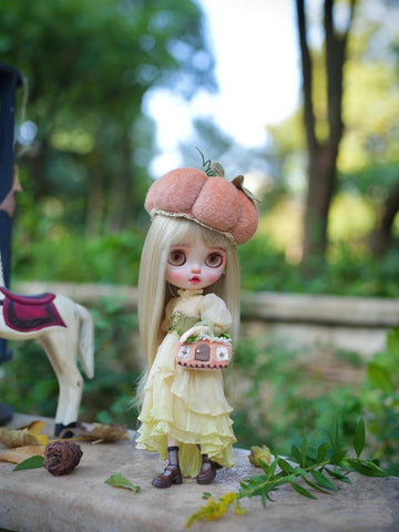 Custom Blythe Doll Collection - No.1