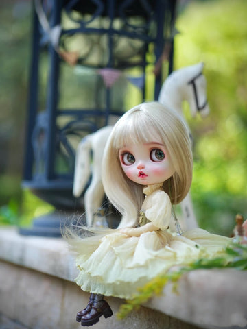 Custom Blythe Doll Collection - No.1