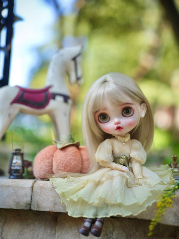 Custom Blythe Doll Collection - No.1